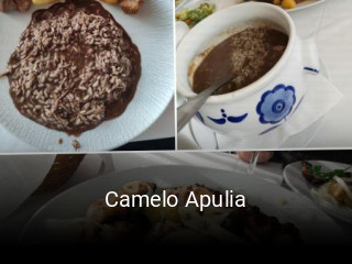 Camelo Apulia