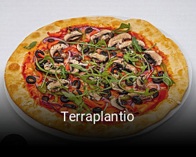 Terraplantio