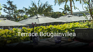 Terrace Bougainvillea